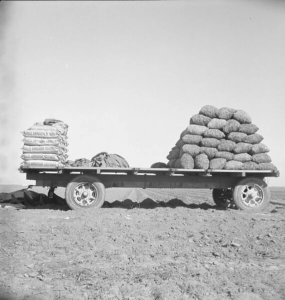 Supply of fertilizer and potato seed on edge of field... Kern County, California, 1939. Creator: Dorothea Lange
