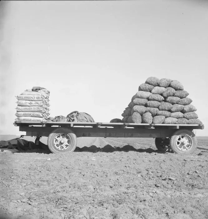 Framed Print : Supply of fertilizer and potato seed on edge of field... Kern County, California, 1939. Creator: Dorothea Lange Framed Print : Supply of fertilizer and potato seed on edge of field... Kern County, California, 1939. Creator: Dorothea Lange