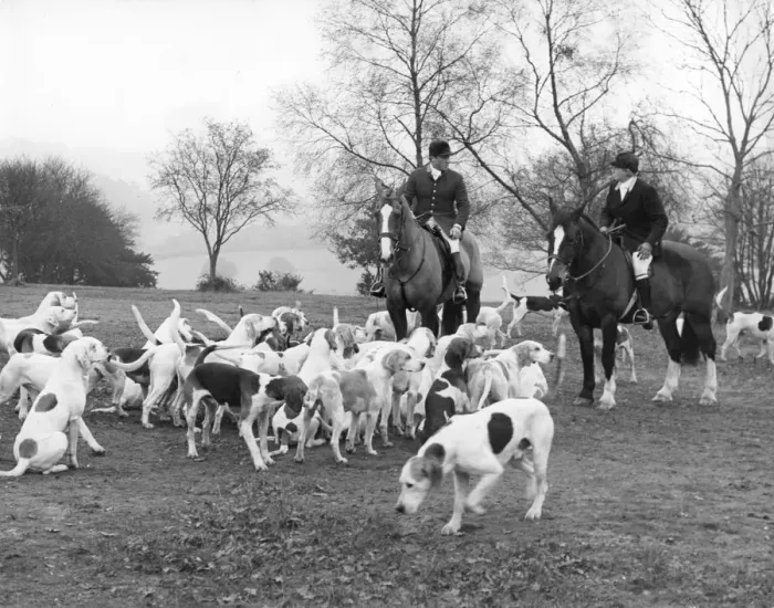 Framed Print : Surrey Union fox-hunters, c1960s Framed Print : Surrey Union fox-hunters, c1960s