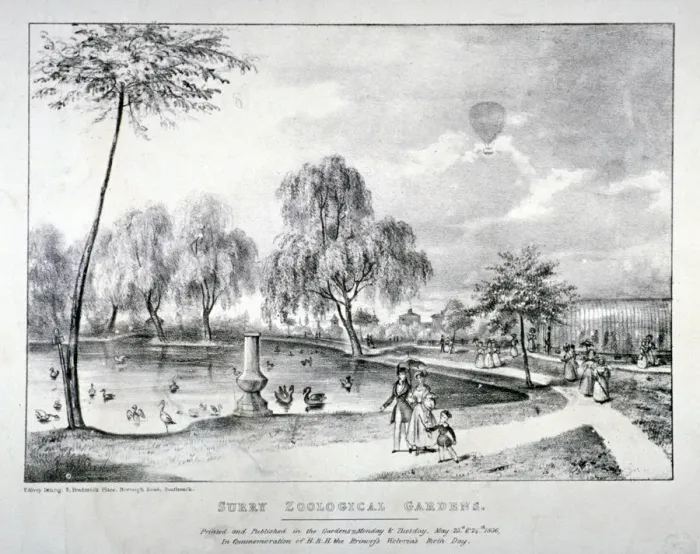 Framed Print : Surrey Zoological Gardens, Southwark, London, 1836. Artist: F Alvey Framed Print : Surrey Zoological Gardens, Southwark, London, 1836. Artist: F Alvey