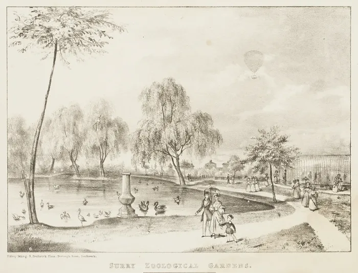 Framed Print : Surry Zoological Gardens, 1836. Creator: Unknown Framed Print : Surry Zoological Gardens, 1836. Creator: Unknown