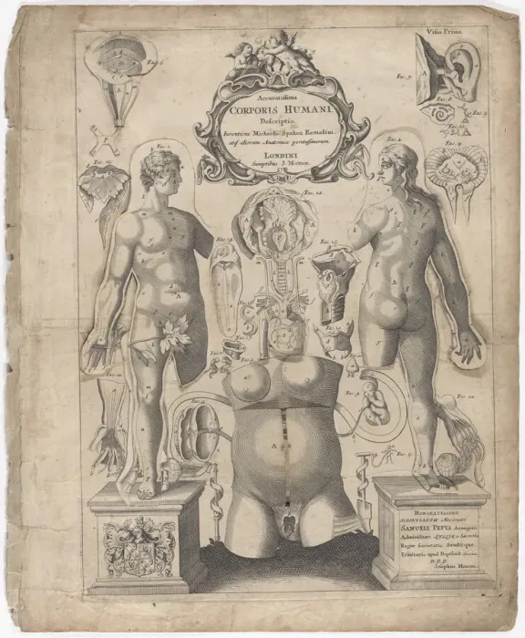 Framed Print : A Survey of the Microcosme or the Anatomie of the Bodies of Man and Woman wherein the Skin... 1675. Creator: Johann Remmelin Framed Print : A Survey of the Microcosme or the Anatomie of the Bodies of Man and Woman wherein the Skin... 1675. Creator: Johann Remmelin