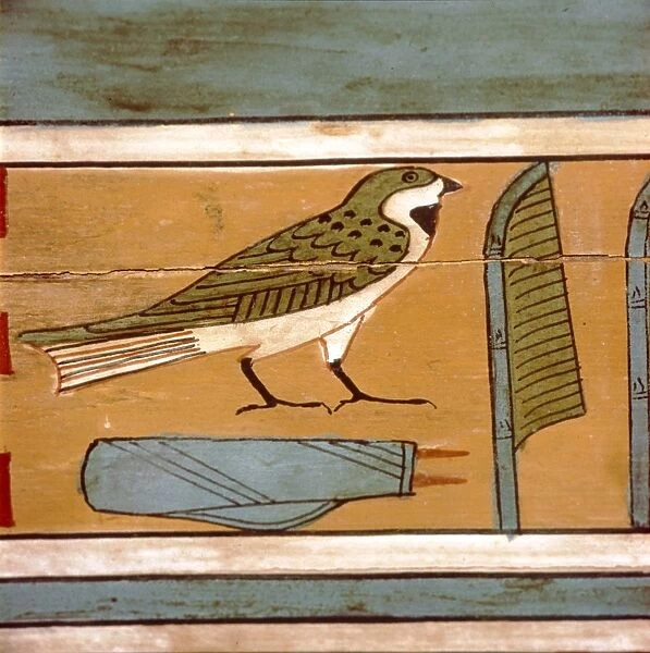 Swallow detail, Egyptian hieroglyphic on inner wall of coffin, c2000 BC