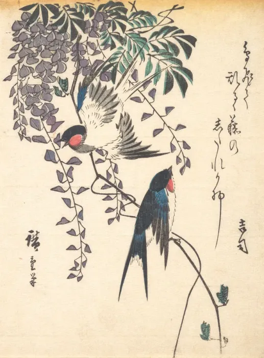 Framed Print : Swallow and Wisteria, mid-1840s. mid-1840s. Creator: Ando Hiroshige Framed Print : Swallow and Wisteria, mid-1840s. mid-1840s. Creator: Ando Hiroshige