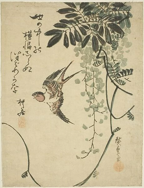 Swallow and wisteria, n. d. Creator: Ando Hiroshige