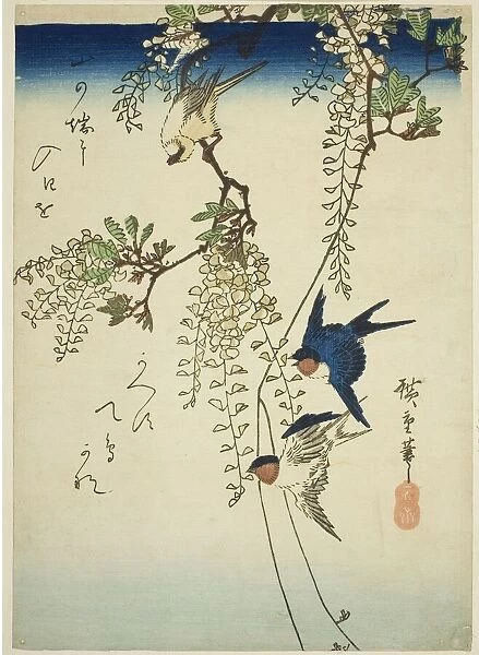 Swallow, yellow bird, and wisteria, 1830s-1840s. Creator: Ando Hiroshige