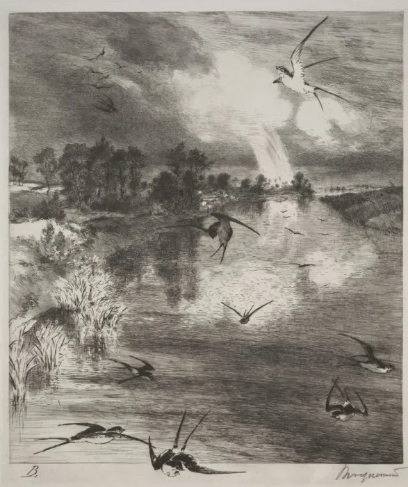 Framed Print : Swallows, 1882. Creator: Felix Bracquemond (French, 1833-1914) Framed Print : Swallows, 1882. Creator: Felix Bracquemond (French, 1833-1914)