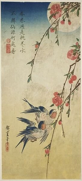 Swallows, peach blossoms, and full moon, 1830s. Creator: Ando Hiroshige