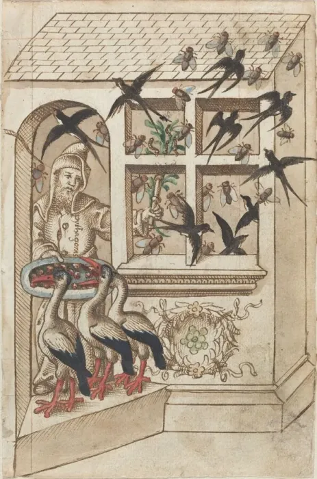 Framed Print : Do Not Have Swallows under the Same Roof [fol. 40 recto], c. 1512  /  1514. Creator: Unknown
