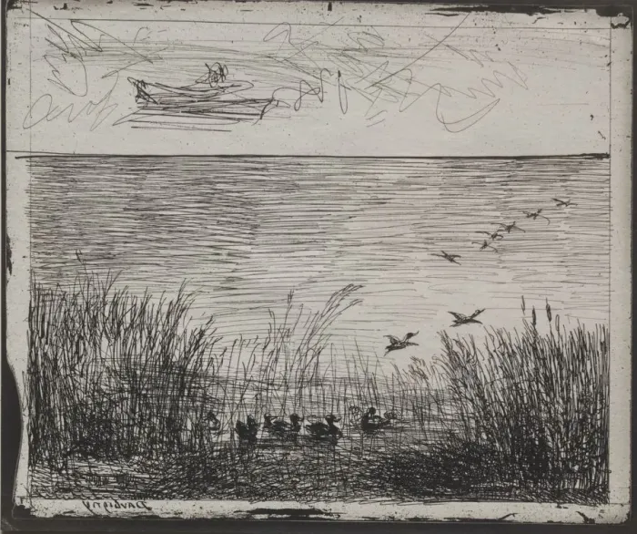 Framed Print : Swamp with Ducks, original impression 1862, printed in 1921 Framed Print : Swamp with Ducks, original impression 1862, printed in 1921