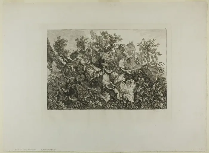 Framed Print : Swamp Plants, n.d. Creator: Carl Wilhelm Kolbe the elder Framed Print : Swamp Plants, n.d. Creator: Carl Wilhelm Kolbe the elder