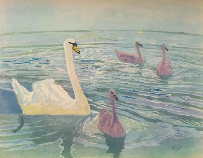 Framed Print : Swan and Cygnets, 1911, (1928). Artist: William Giles Framed Print : Swan and Cygnets, 1911, (1928). Artist: William Giles