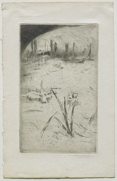 Swan and Iris, 1883. Creator: James McNeill Whistler (American, 1834-1903)