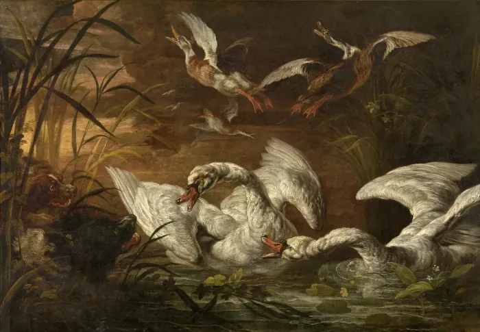 Framed Print : Swans and Dogs, c1640-1670. Creator: Nicasius Bernaerts Framed Print : Swans and Dogs, c1640-1670. Creator: Nicasius Bernaerts