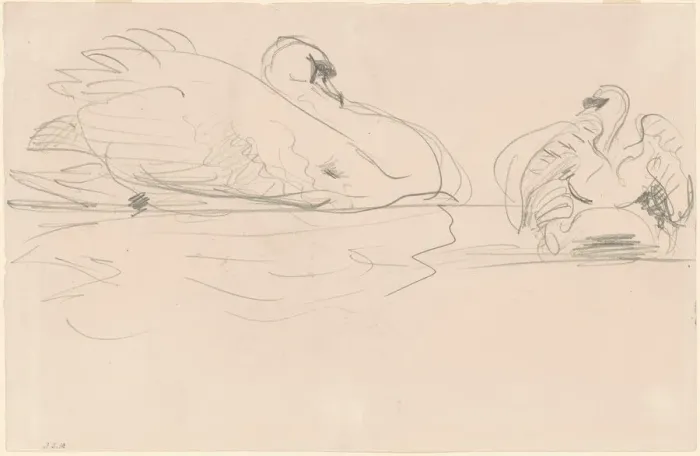 Framed Print : Swans in the Water, 1880-1900. Creator: John Singer Sargent Framed Print : Swans in the Water, 1880-1900. Creator: John Singer Sargent