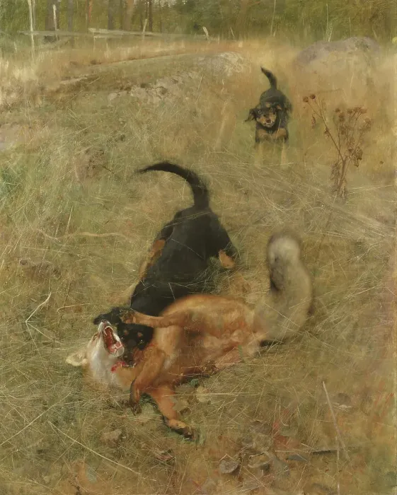 Framed Print : Swedish Foxhound and Fox, 1885. Creator: Bruno Liljefors Framed Print : Swedish Foxhound and Fox, 1885. Creator: Bruno Liljefors