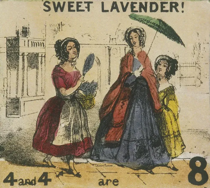 Framed Print : Sweet Lavender!, London, c1840, Cries of London. Artist: TH Jones Framed Print : Sweet Lavender!, London, c1840, Cries of London. Artist: TH Jones