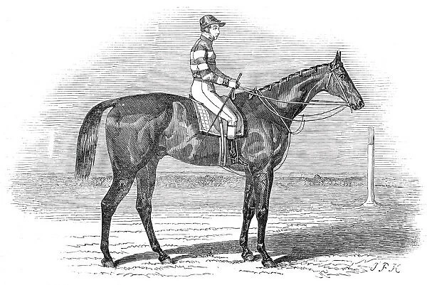 Sweetmeat, the winner of the Doncaster Plate, 1845. Creator: Unknown
