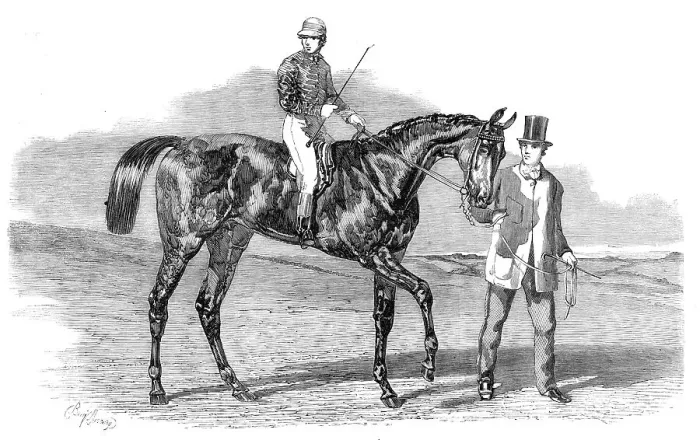 Framed Print : Sweetsauce, the winner of the Stewards and the Goodwood Cups, 1860. Creator: Unknown Framed Print : Sweetsauce, the winner of the Stewards and the Goodwood Cups, 1860. Creator: Unknown
