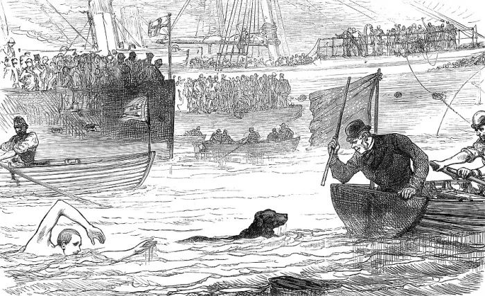 Framed Print : Swimming-match between a dog and a man, 1880. Creator: Unknown Framed Print : Swimming-match between a dog and a man, 1880. Creator: Unknown