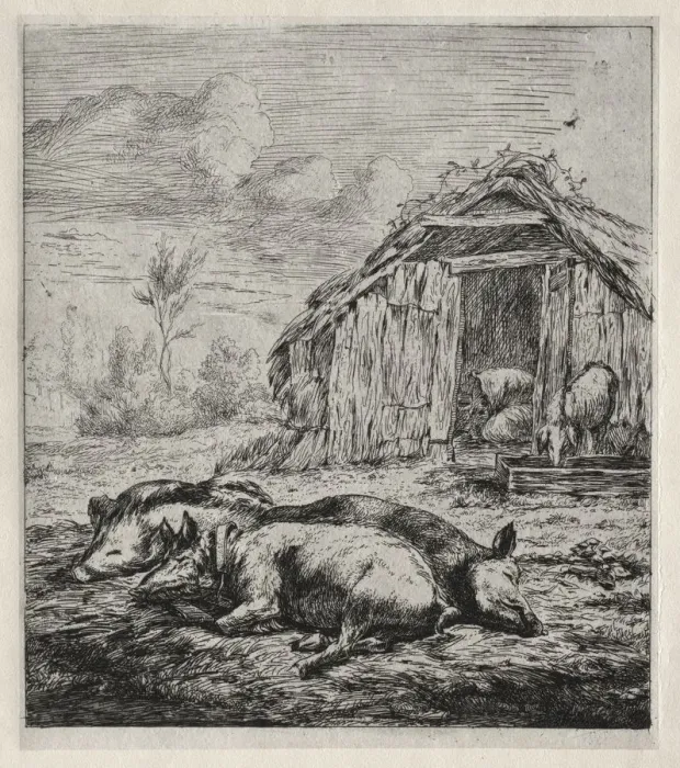 Framed Print : Three Swine Lying in Front of a Sty, 1850. Creator: Charles Meryon (French, 1821-1868) Framed Print : Three Swine Lying in Front of a Sty, 1850. Creator: Charles Meryon (French, 1821-1868)
