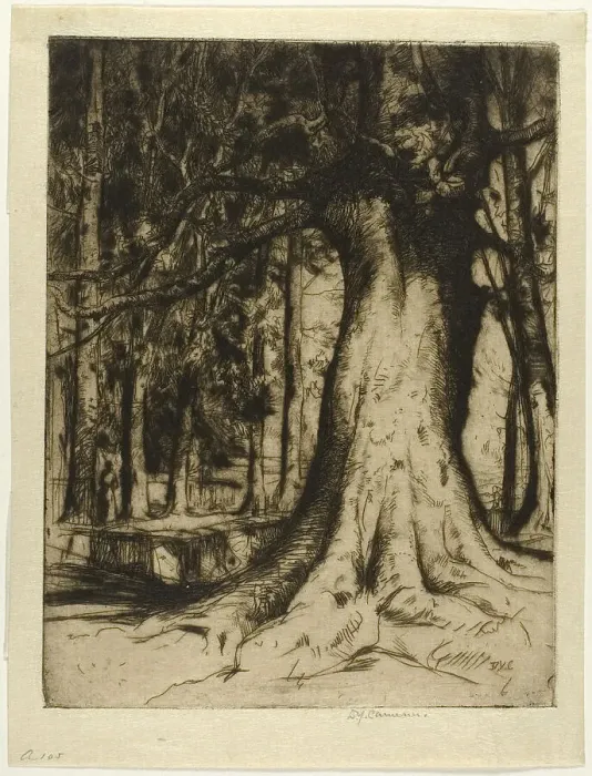 Framed Print : The Sycamore, 1905. Creator: David Young Cameron Framed Print : The Sycamore, 1905. Creator: David Young Cameron