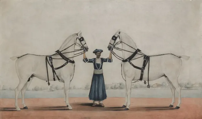 Framed Print : A Syce (Groom) Holding Two Carriage Horses, ca. 1845. Creator Framed Print : A Syce (Groom) Holding Two Carriage Horses, ca. 1845. Creator