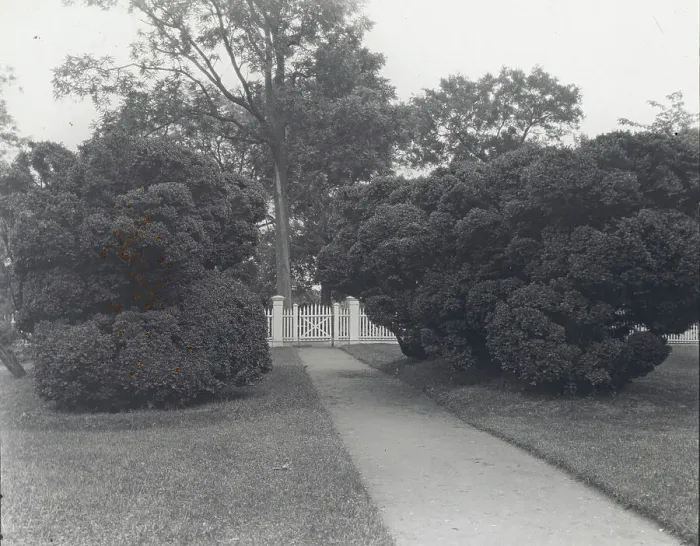 Framed Print : Sylvester Manor, Cornelia Horsford house, Shelter Island, New York, c1915. Creator: Frances Benjamin Johnston. Sylvester Manor, Cornelia Horsford house, Shelter Island, New York, c1915. Creator: Frances Benjamin Johnston Framed Print : Sylvester Manor, Cornelia Horsford house, Shelter Island, New York, c1915. Creator: Frances Benjamin Johnston. Sylvester Manor, Cornelia Horsford house, Shelter Island, New York, c1915. Creator: Frances Benjamin Johnston