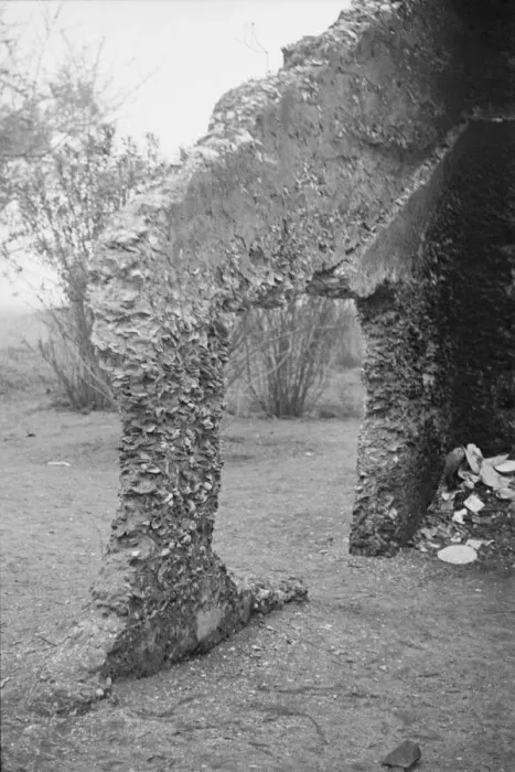 Framed Print : Tabby construction, ruins of supposed Spanish mission, St. Marys, Georgia, 1936. Creator: Walker Evans