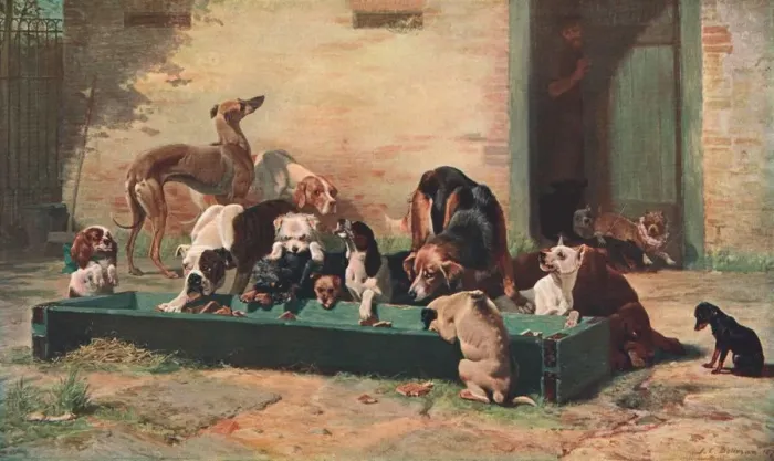 Framed Print : Table d Hote at a Dogs Home, 1880, (c1902). Creator: Unknown Framed Print : Table d Hote at a Dogs Home, 1880, (c1902). Creator: Unknown