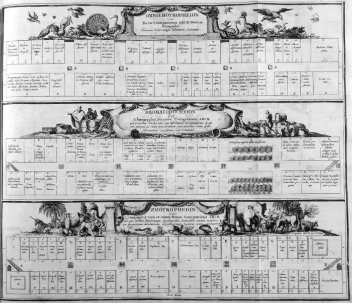 Framed Print : Table of the species, 1765. Artist: Athanasius Kircher Framed Print : Table of the species, 1765. Artist: Athanasius Kircher
