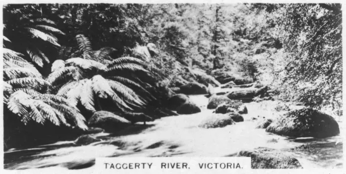 Framed Print : Taggerty River, Victoria, Australia, 1928 Framed Print : Taggerty River, Victoria, Australia, 1928