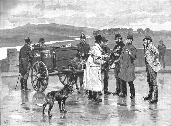 Taking Toll in Ireland--A Scene at an Irish Pig Fair, 1890. Creator: Unknown