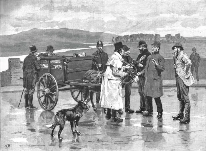 Framed Print : Taking Toll in Ireland--A Scene at an Irish Pig Fair, 1890. Creator: Unknown Framed Print : Taking Toll in Ireland--A Scene at an Irish Pig Fair, 1890. Creator: Unknown