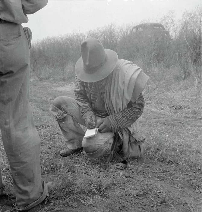 Framed Print : Tally, Cotton field in South Texas, 1936. Creator: Dorothea Lange Framed Print : Tally, Cotton field in South Texas, 1936. Creator: Dorothea Lange