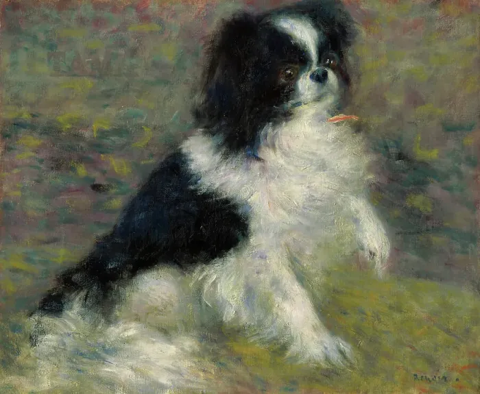 Framed Print : Tama, The Japanese Dog, c1876. Creator: Pierre-Auguste Renoir Framed Print : Tama, The Japanese Dog, c1876. Creator: Pierre-Auguste Renoir