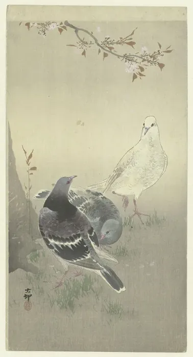 Framed Print : Three tame pigeons. Creator: Ohara, Koson (1877-1945) Framed Print : Three tame pigeons. Creator: Ohara, Koson (1877-1945)