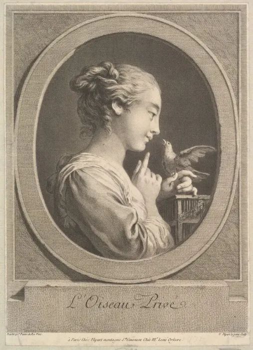 Framed Print : The Tamed Bird, ca. 1769. Creator: Jean Jacques Flipart Framed Print : The Tamed Bird, ca. 1769. Creator: Jean Jacques Flipart