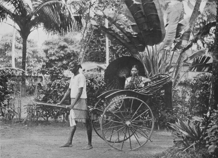 Framed Print : Tamil Lady in Rickshaw, c1890, (1910). Artist: Alfred William Amandus Plate Framed Print : Tamil Lady in Rickshaw, c1890, (1910). Artist: Alfred William Amandus Plate