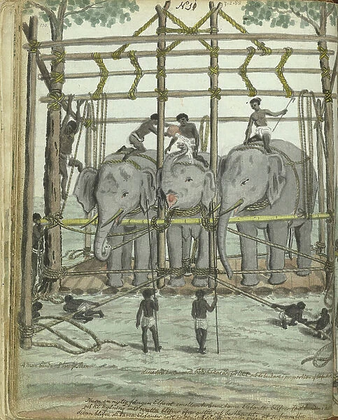 Taming an elephant, 1785. Creator: Jan Brandes