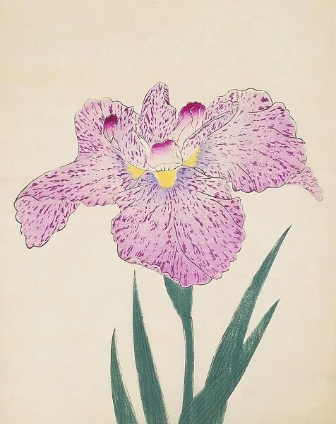 Tanka-No-Koe, No. 15, 1890, (colour woodblock print)