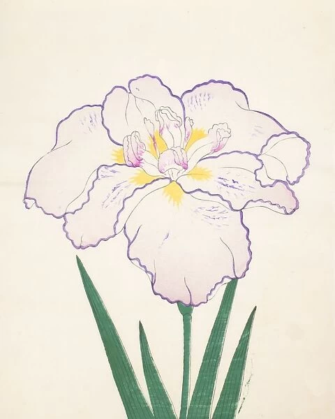 Tanporo, No. 51, 1890, (colour woodblock print)