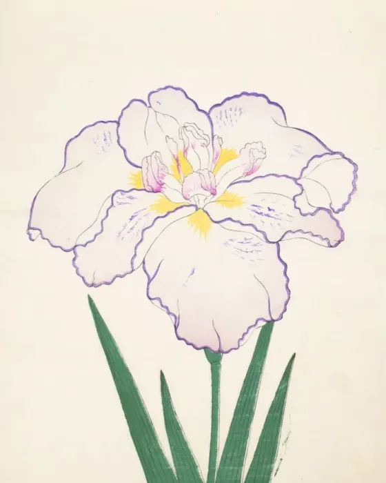 Framed Print : Tanporo, No. 51, 1890, (colour woodblock print) Framed Print : Tanporo, No. 51, 1890, (colour woodblock print)