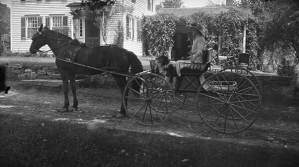 Tarbell, Ida, Miss, with dog, in a horse-drawn wagon, 1912 or 1913. Creator: Arnold Genthe