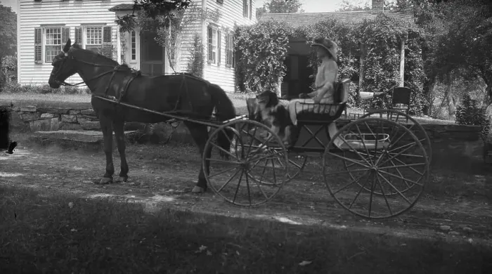 Framed Print : Tarbell, Ida, Miss, with dog, in a horse-drawn wagon, 1912 or 1913. Creator: Arnold Genthe Framed Print : Tarbell, Ida, Miss, with dog, in a horse-drawn wagon, 1912 or 1913. Creator: Arnold Genthe