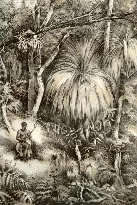 Framed Print : Tasmanian forest scene, 1879. Artist: McFarlane and Erskine Framed Print : Tasmanian forest scene, 1879. Artist: McFarlane and Erskine