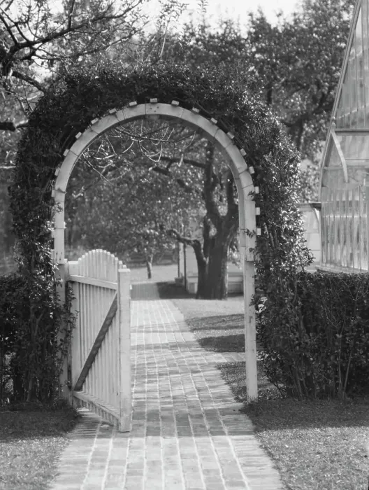 Framed Print : Taylor, Myron C. Mr. residence and grounds, Locust Valley, Long Island, New York, 1928 Nov. Creator: Arnold Genthe Framed Print : Taylor, Myron C. Mr. residence and grounds, Locust Valley, Long Island, New York, 1928 Nov. Creator: Arnold Genthe