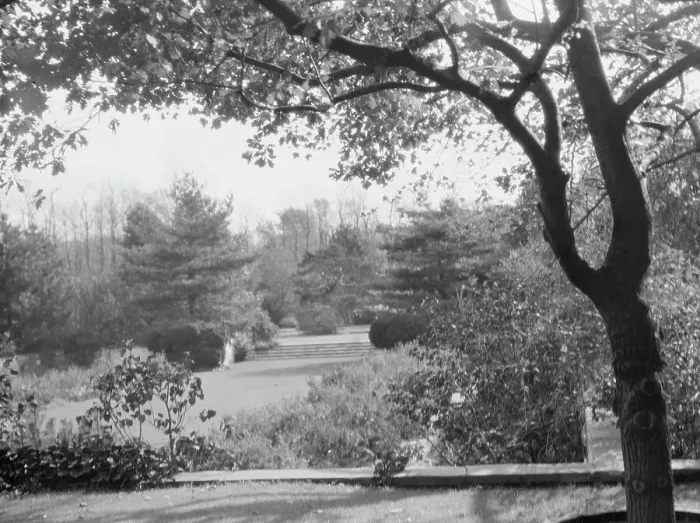 Framed Print : Taylor, Myron C. Mr. residence and grounds, Locust Valley, Long Island, New York, 1928 Nov. Creator: Arnold Genthe Framed Print : Taylor, Myron C. Mr. residence and grounds, Locust Valley, Long Island, New York, 1928 Nov. Creator: Arnold Genthe