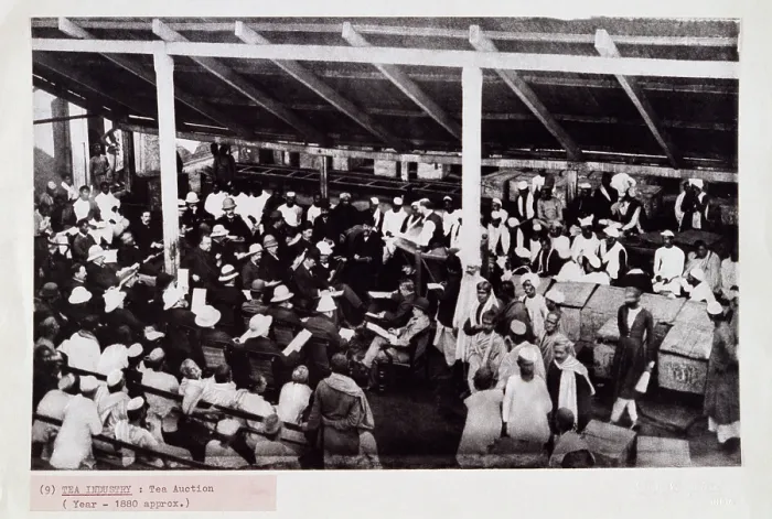 Framed Print : Tea auction, probably in Calcutta, India, c1880. Creator: Bourne & Shepherd Framed Print : Tea auction, probably in Calcutta, India, c1880. Creator: Bourne & Shepherd