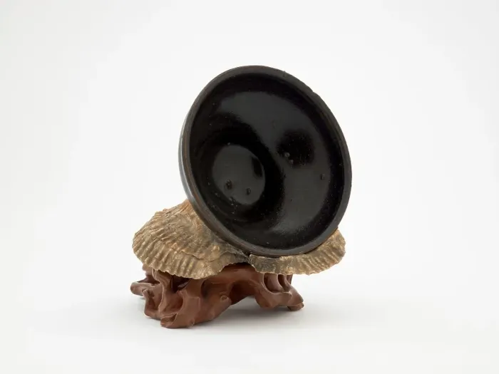 Framed Print : Tea bowl encrusted with sea shells, date unknown. Creator: Unknown Framed Print : Tea bowl encrusted with sea shells, date unknown. Creator: Unknown